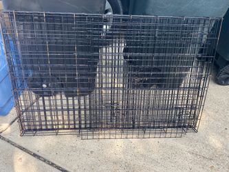 XL Wired Pet Kennel w/Separator (47” x 29.5”)