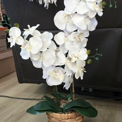 Artificial Orchid Plant