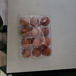 Eggs