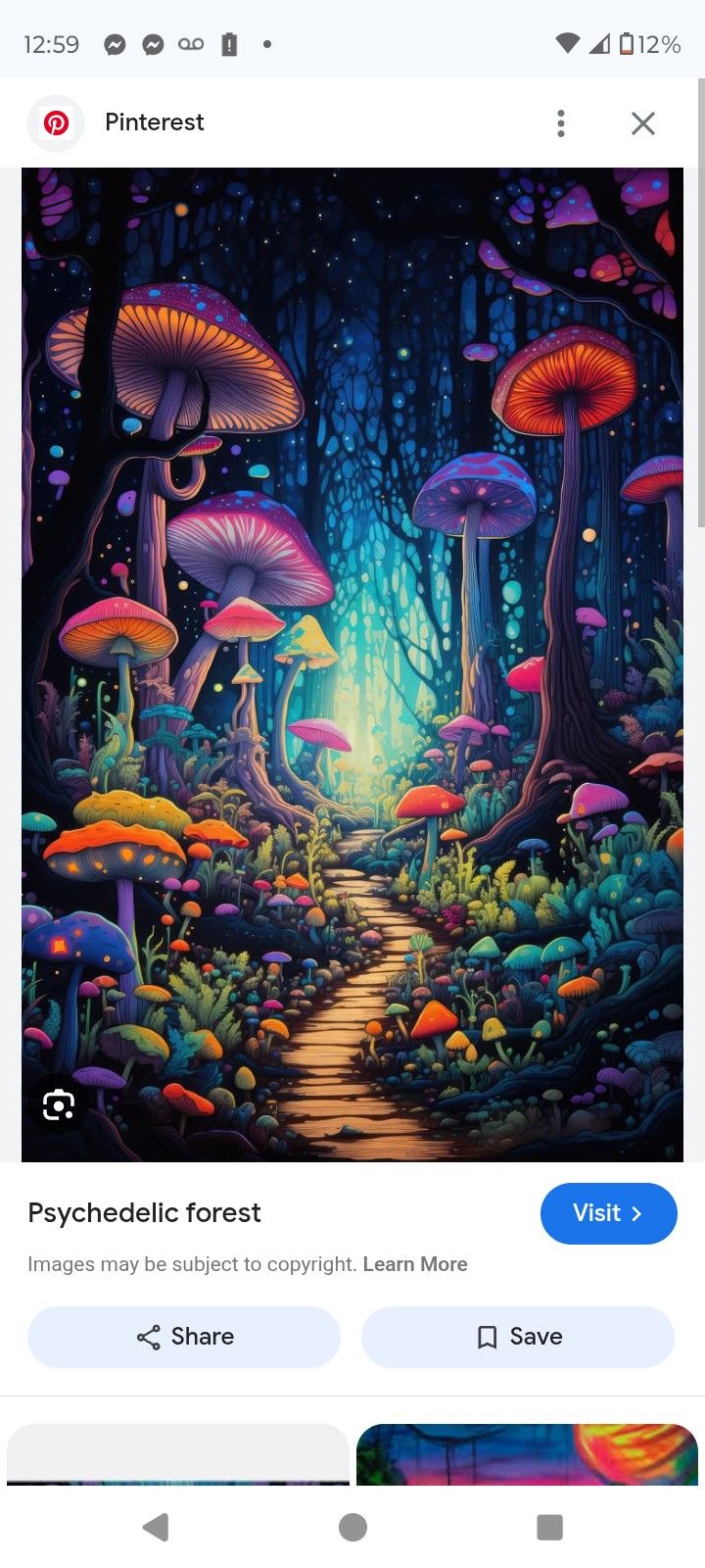 Psychedelic Mushrooms
