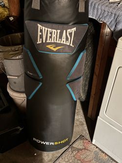 Everlast Power Shot punching bag