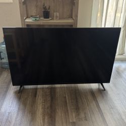 Vizio 55” 