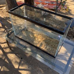 Fish/reptile Tank