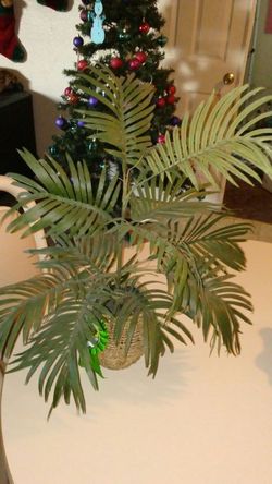 Planta arificial