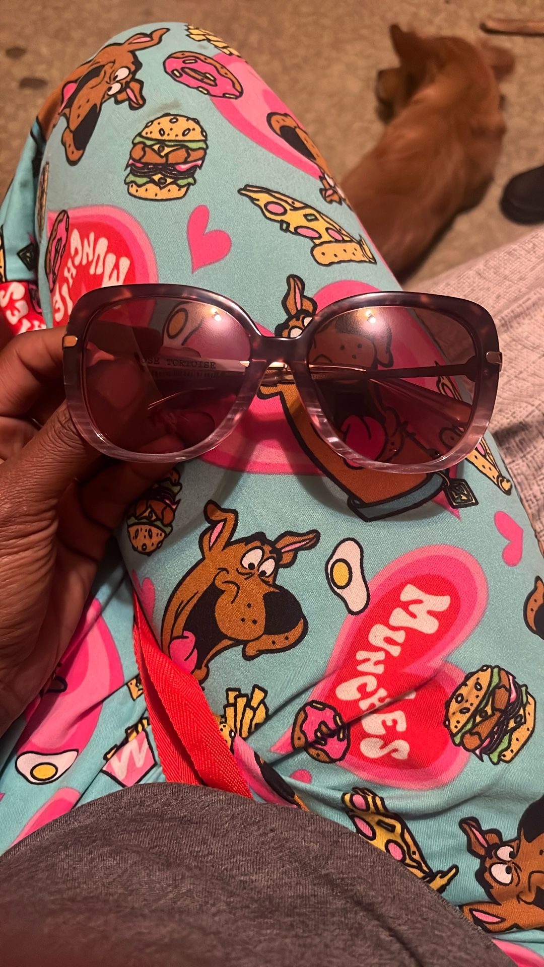 Coach Sunglasses