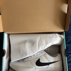 Nike SB Force 58 Premium Shoes
