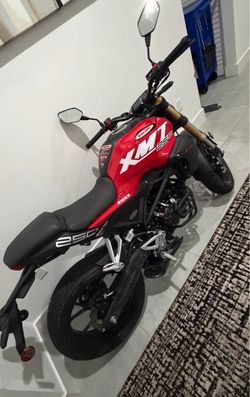 2025 xmt 250cc