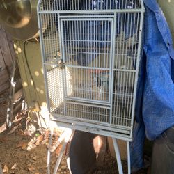 Big Bird Cage 