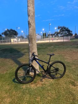 Mtb for trades
