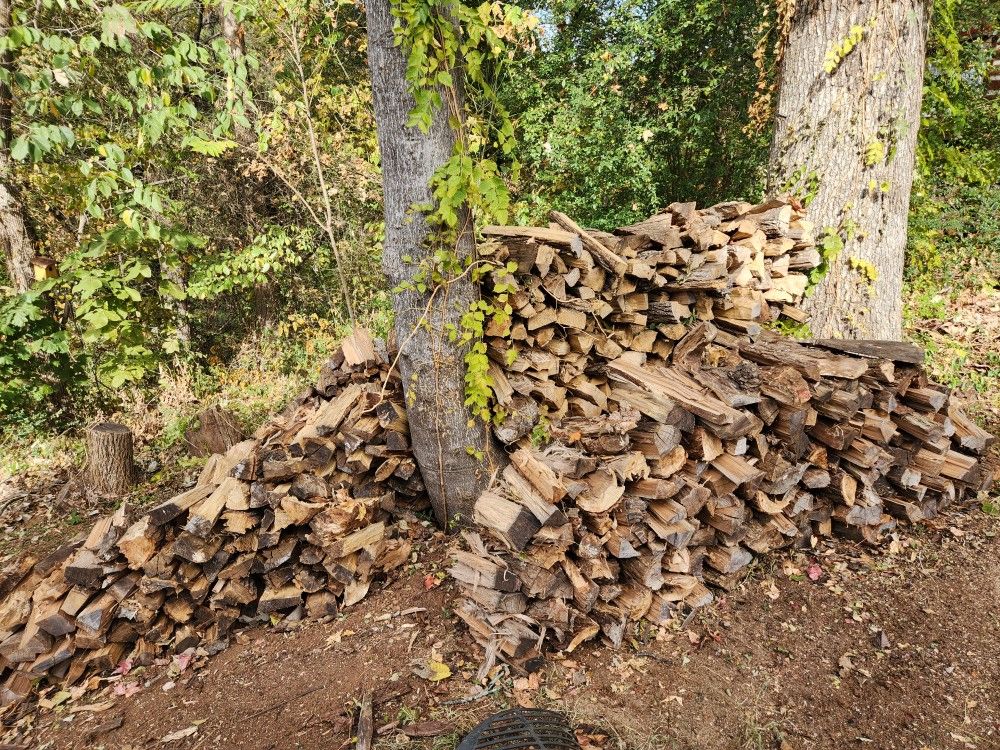 Fire Wood