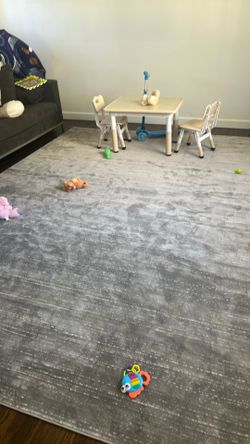 9 x12 grey rug