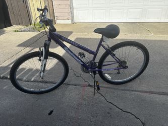 Road master Bike