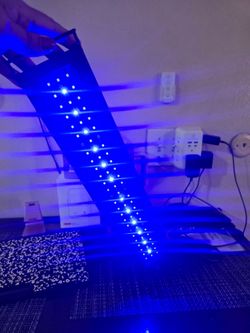 Aquarium multi- light