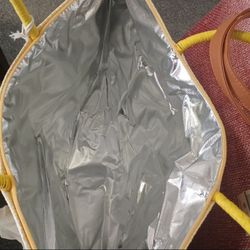 TOTES  INSULATED PICNIC CARRING BAGS 