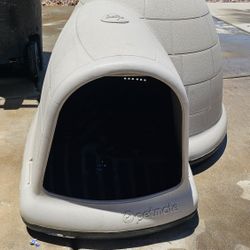 Dog Igloo