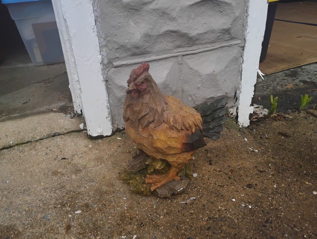 Chicken