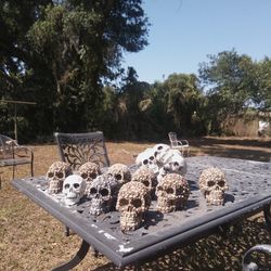 Skeleton Skull Head With Images Of Skulls All Around Skull Head 