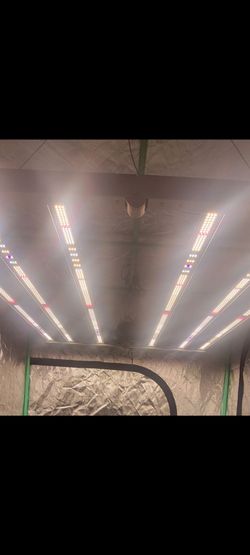 LED Grow Light Marshydro Fc4800 6 bar