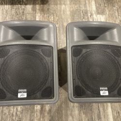Peavey PR15 15” PA speakers