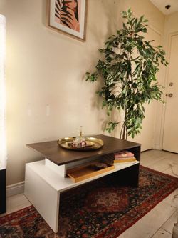 Modern Two-Tier Centerpiece Coffee Table for Living Space