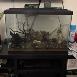Fish Tank  25 Gal