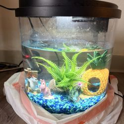 TopFin Half Moon Aquarium 