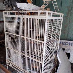 Big Bird Cage Heavy Duty