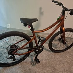 Momentum Vida M Bike