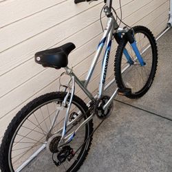 Schwinn Mountain Bike