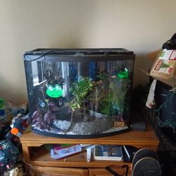 Reptile Cage Tank