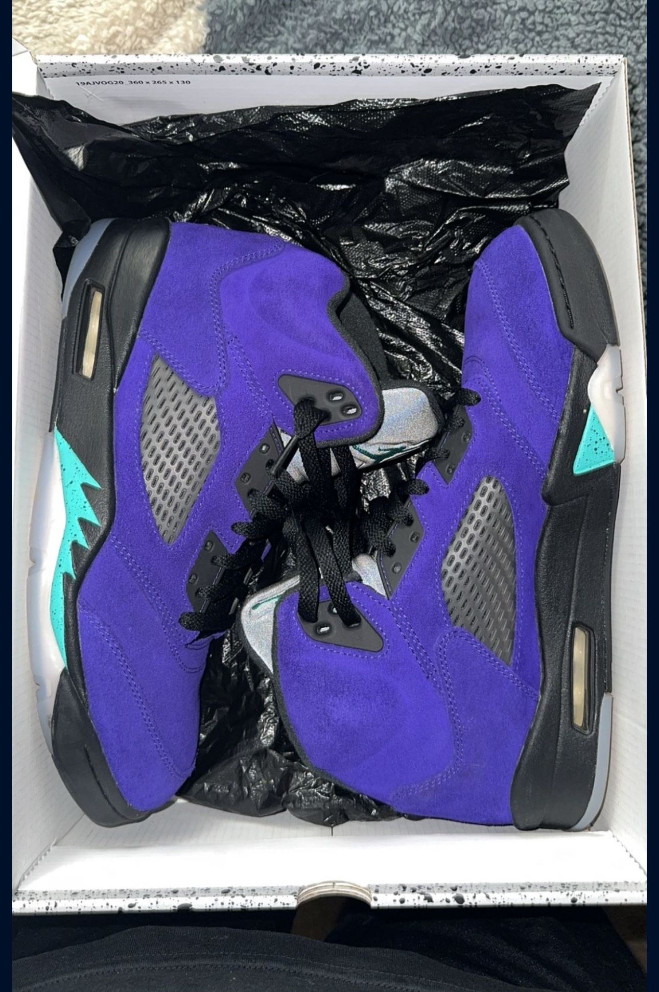 Jordan 5