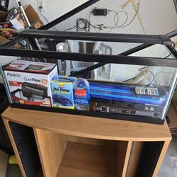 Fish Tank 