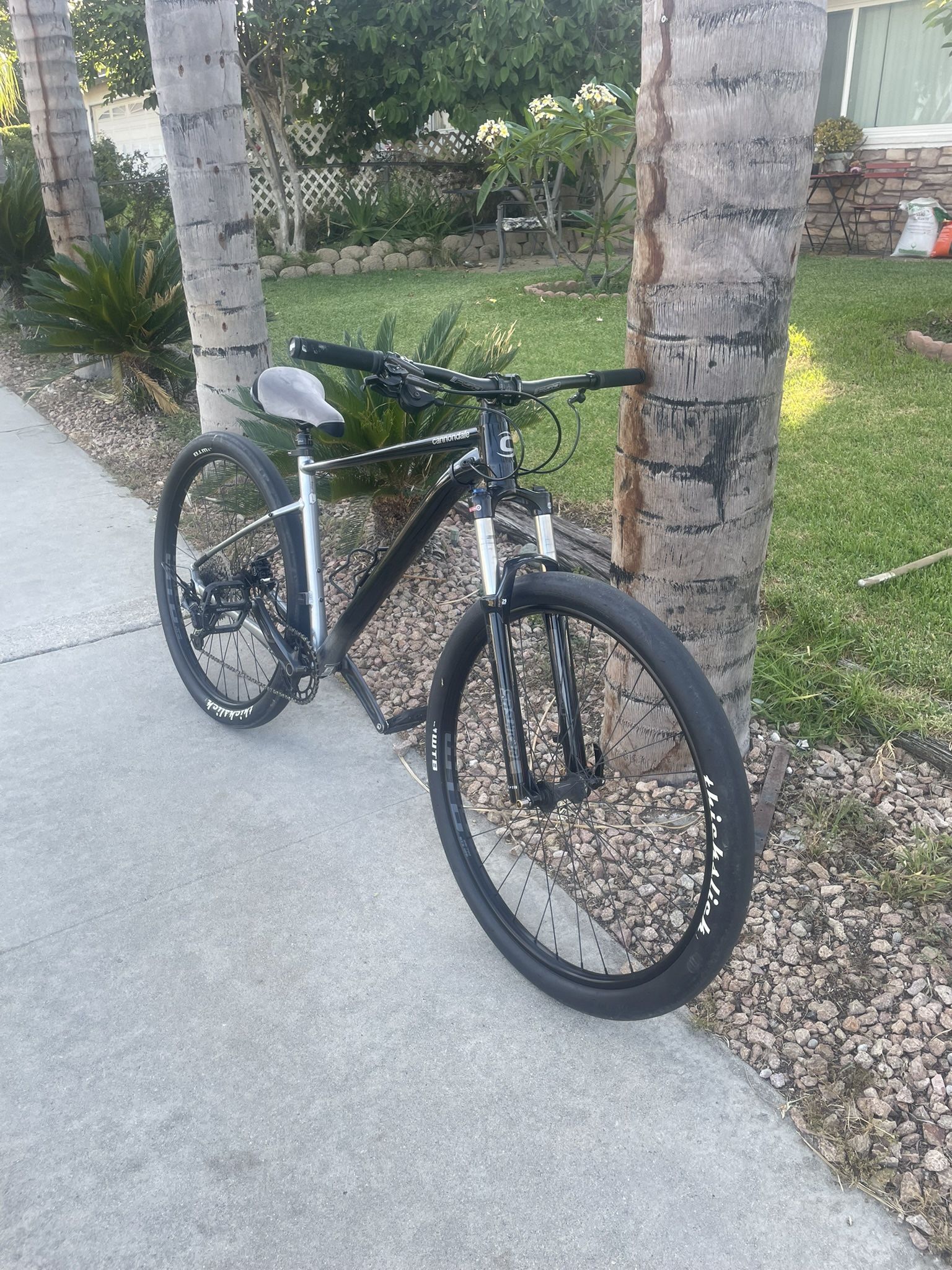 29 inch cannondale SE 4