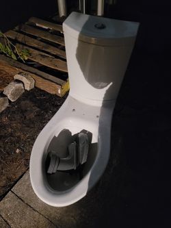 Kohler Toilet