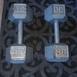 30 Lbs Dumbells Weights