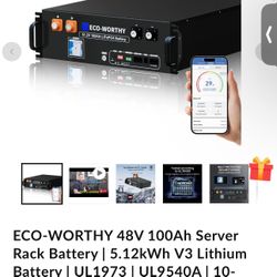 Ecoworthy LFP, Battery, Solar, 48v. 