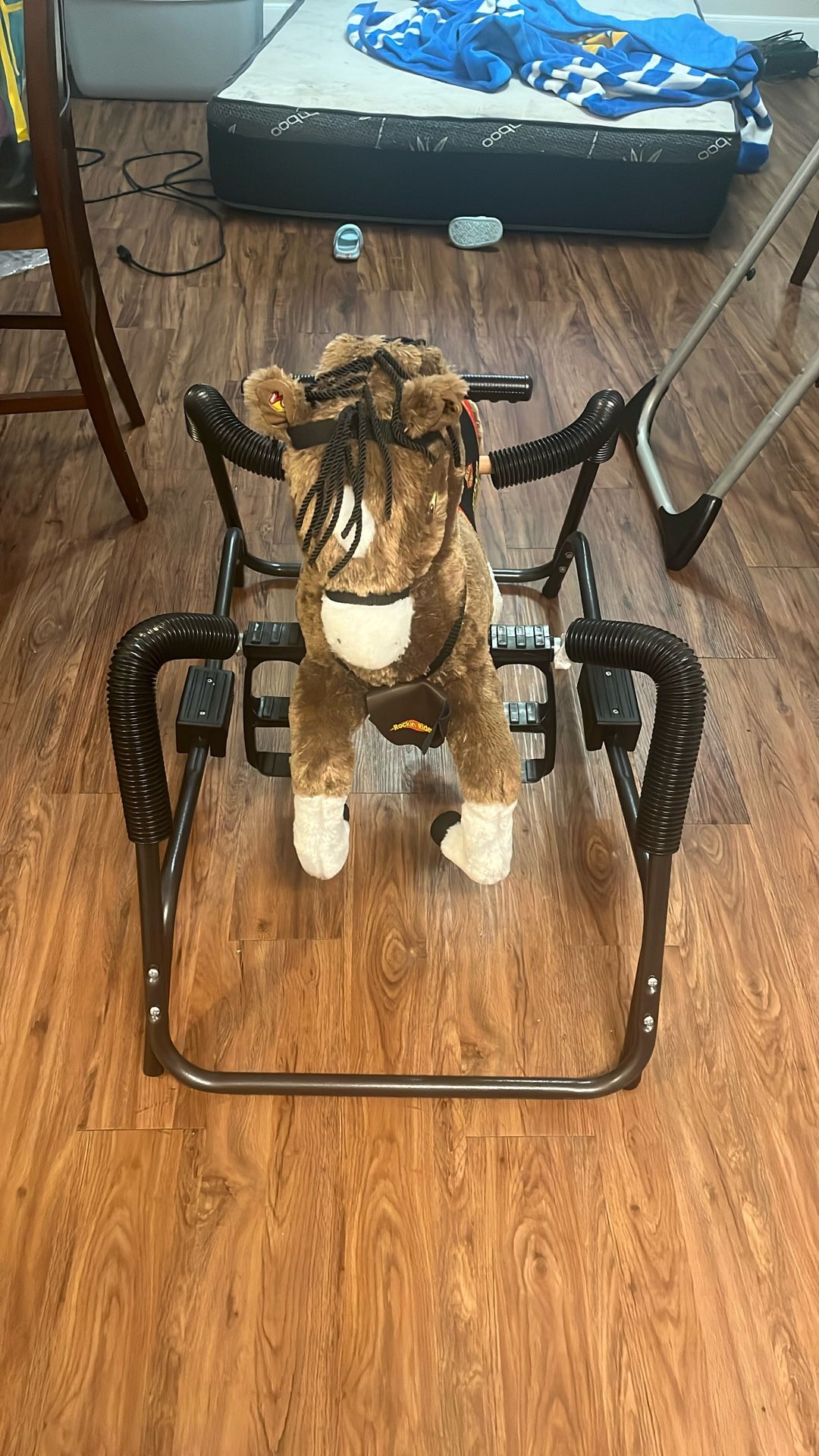 Riding Horse 