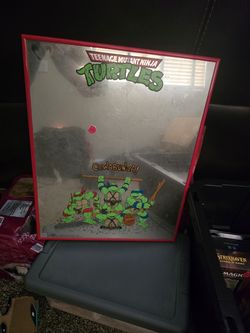 1990 Teenage Mutant Ninja Turtles mirror