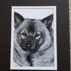Realistic  Graphite Pencil Drawings, Dog, Printed And Matted, Size 8x10 