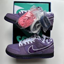 Nike Dunk Low Purple Lobster