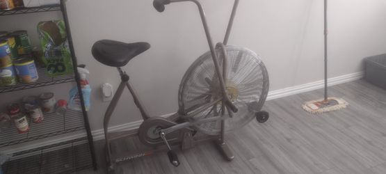 Schwinn Fan Bike
