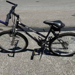 Mountain Bike