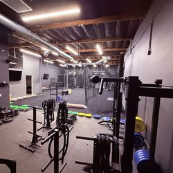 ROGUE VERTICAL PLATE TREE 2.0   (3)