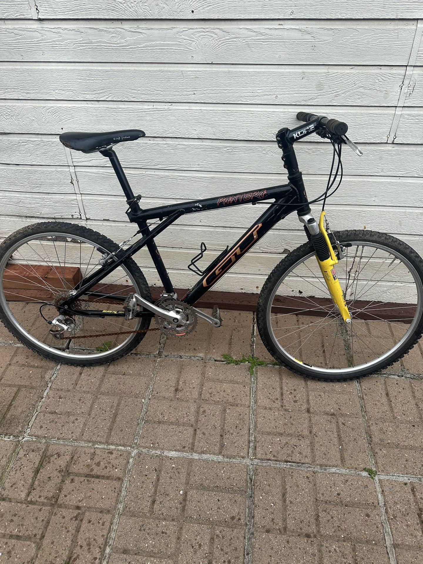 GT Mountain Bike Pantera