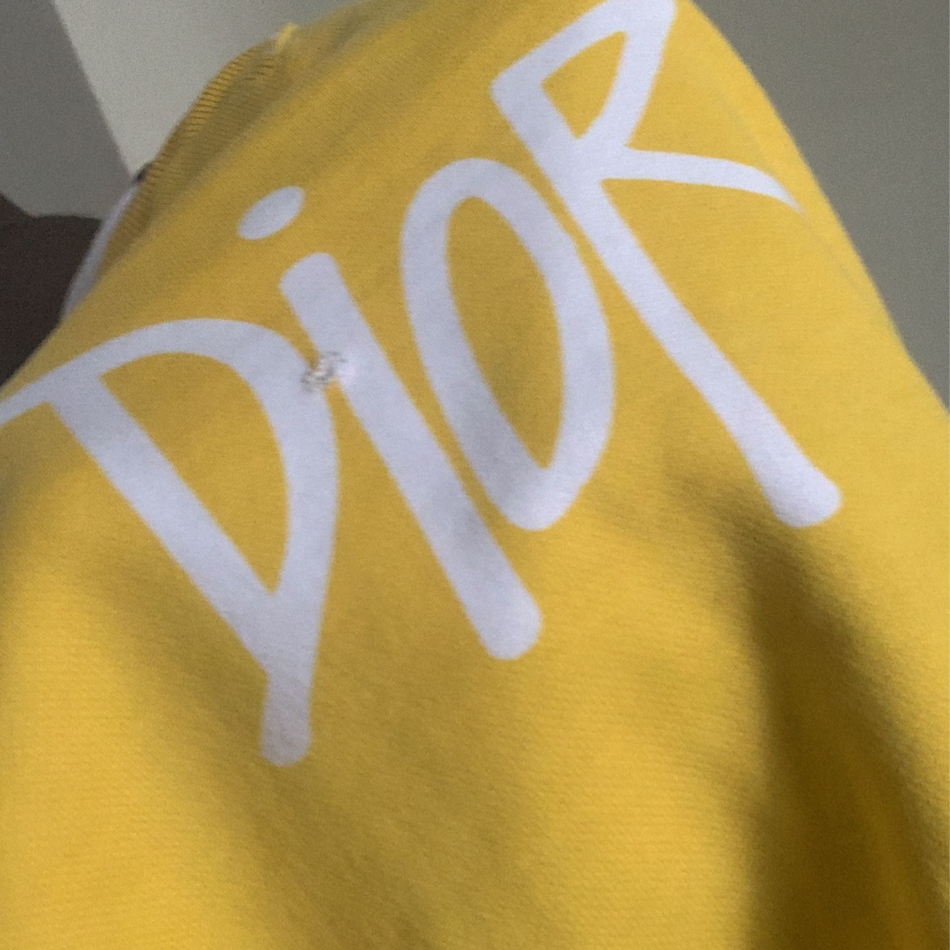 dior sweatshirt 