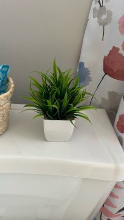 Lamp and plant