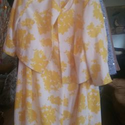 Plus size dresses 18-24 Today6/17  And SUN  6/19 22 :  900 Hundred Block Of 10th And Holmes 
