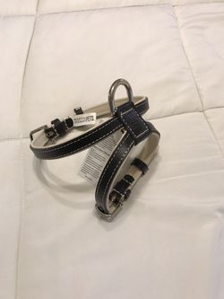 Small dog harness