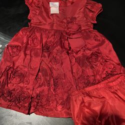 Beautiful Rose Dress Size 18 Months With Diaper Cover