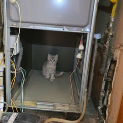 Furnace Water Heater Heat Pump